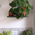 Hossegor, T3 Avec Jardin Entre Et Ocean Apartman
