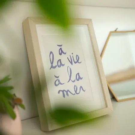 Hossegor, T3 Avec Jardin Entre Et Ocean 公寓 索尔特奥瑟戈尔