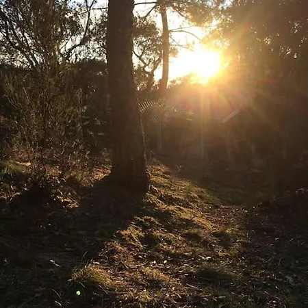 Hossegor, T3 Avec Jardin Entre Et Océan Appartamento *