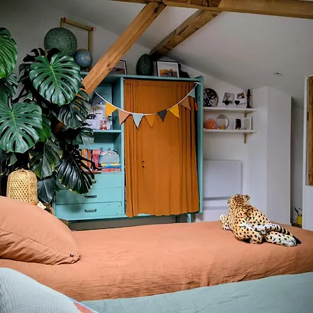 Hossegor, T3 Avec Jardin Entre Et Ocean 索尔特奥瑟戈尔