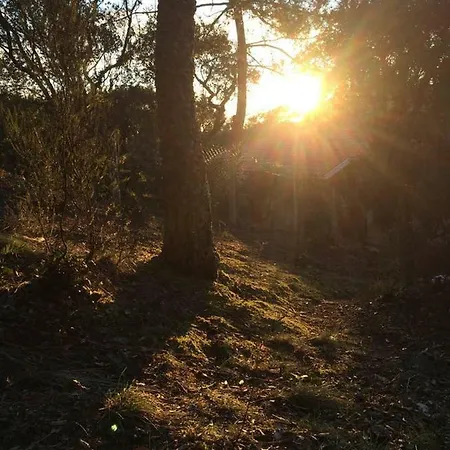 Hossegor, T3 Avec Jardin Entre Et Océan