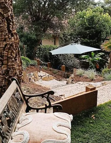 公寓 Hossegor, T3 Avec Jardin Entre Et Ocean 索尔特奥瑟戈尔