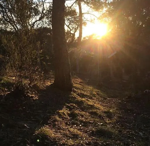 Hossegor, T3 Avec Jardin Entre Et Ocean 公寓 *