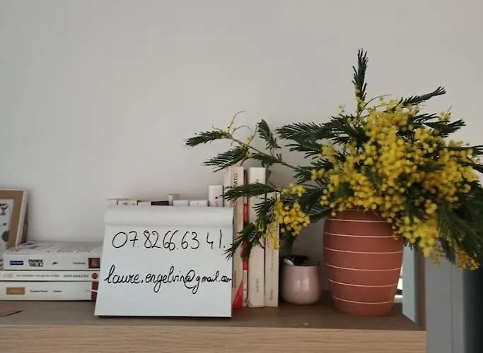 Hossegor, T3 Avec Jardin Entre Et Ocean 公寓 索尔特奥瑟戈尔