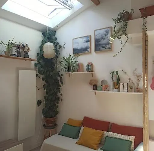 公寓 Hossegor, T3 Avec Jardin Entre Et Ocean 索尔特奥瑟戈尔