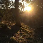 Hossegor, T3 Avec Jardin Entre Et Ocean