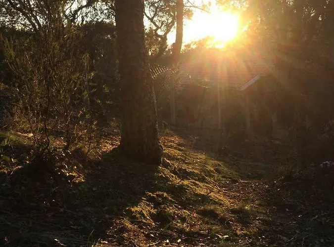 Hossegor, T3 Avec Jardin Entre Et Ocean